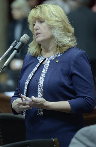 Representative Becky Ruth (photo; Tim Bommel, Missouri House Communications)